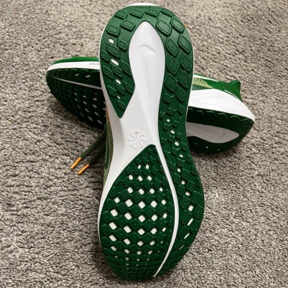 NIKE PEGASUS 41, FAMU SZ 10.5 - Picture 4 of 8